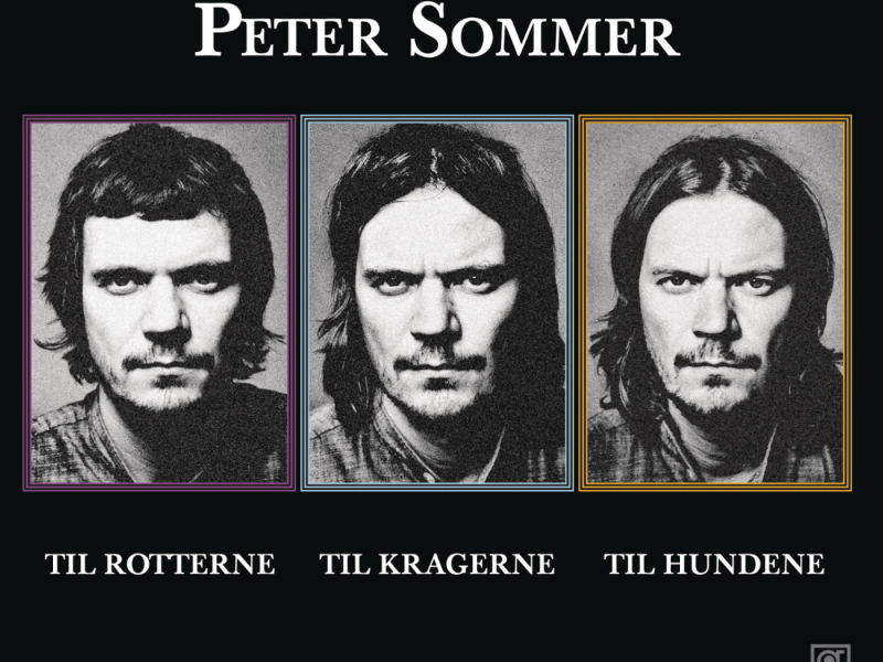 Til Rotterne, Til Kragerne, Til Hundene