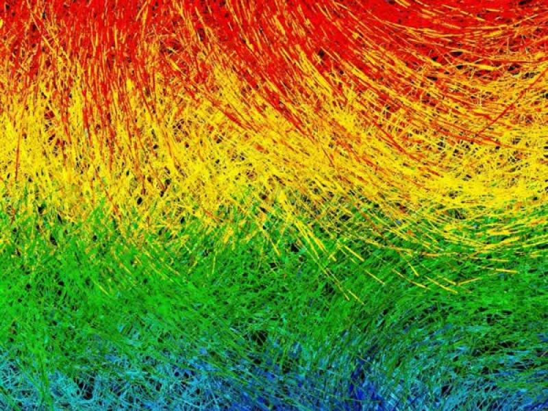 他给你下了什么咒 (Single)