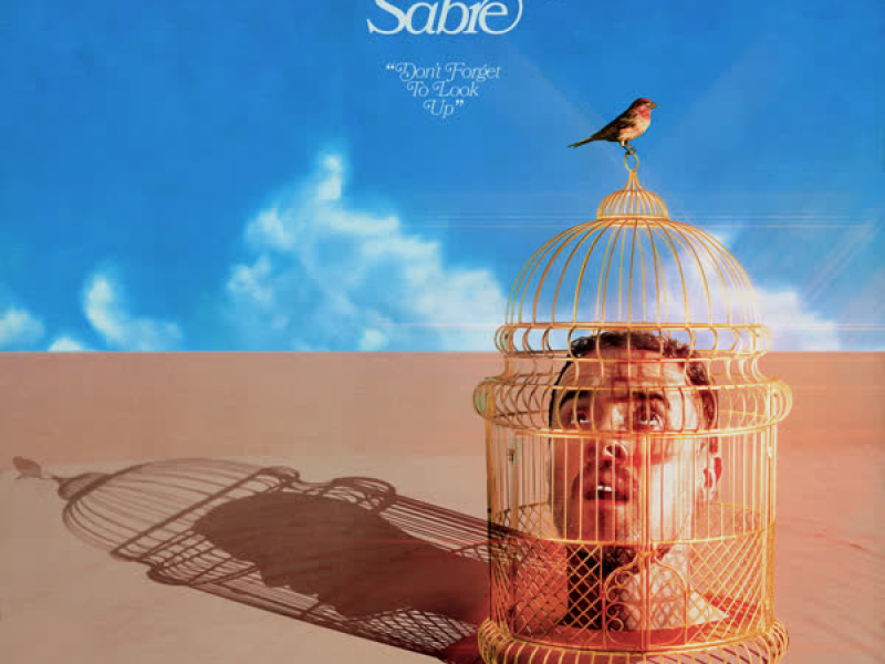 Don't Forget to Look Up