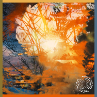 Won’t Follow You Home (Single)