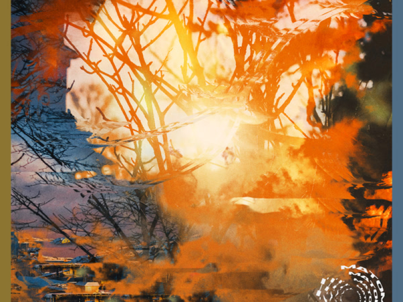 Won’t Follow You Home (Single)