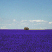 Lonely Star (Single)