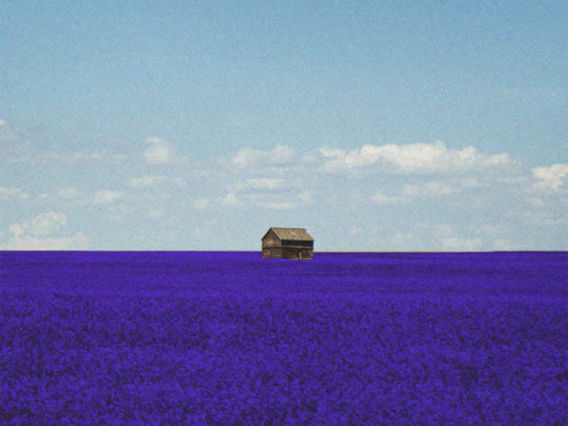 Lonely Star (Single)