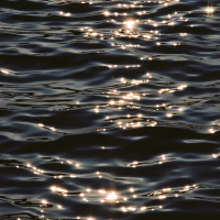 Be A Memory (Feat. ZEEV) (Single)