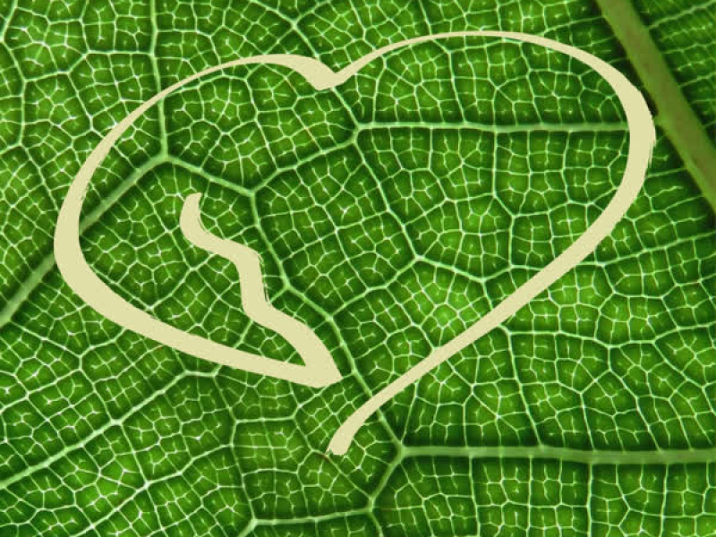 Tidsmaskina (Single)