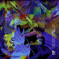 Run Wild (Single)