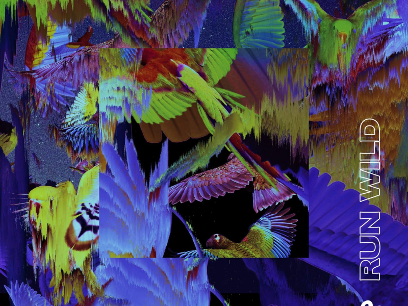 Run Wild (Single)