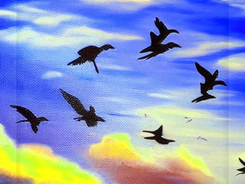 Passionfruit (Single)