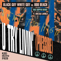 U Try Livin' (Pressure) (Eric Kupper Remix) (EP)