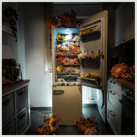 Nicht alles (Single)