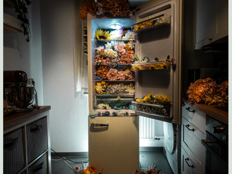 Nicht alles (Single)