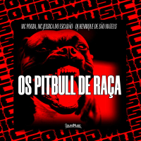 OS PITBULL DE RAÇA (Single)