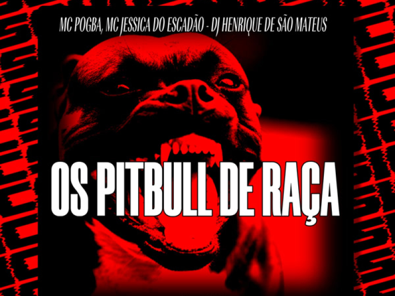 OS PITBULL DE RAÇA (Single)