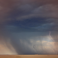 Light Rain Sounds with Thunder for Deep Sleep and Meditation (Single)