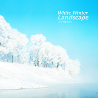 White Winter Landscape (Single)