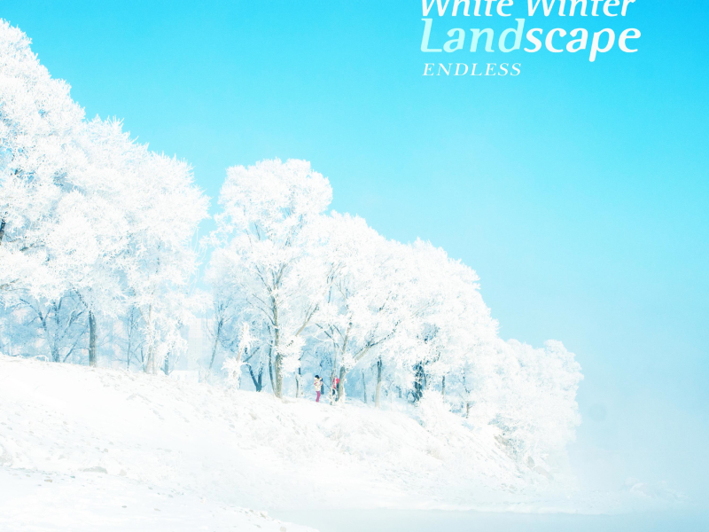 White Winter Landscape (Single)