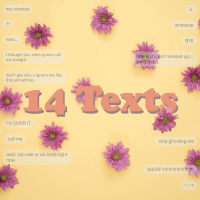 14 Texts (Single)