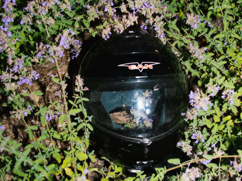 Motorbike Freestyle (Single)