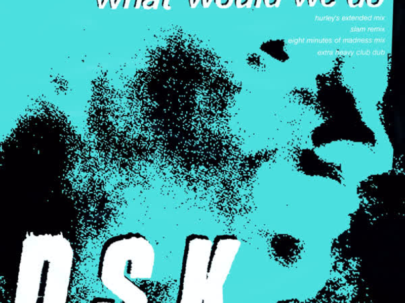 What Would We Do (Junior Boy's Own Mixes)