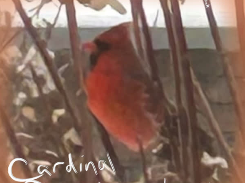 Cardinal Dreams (Single)
