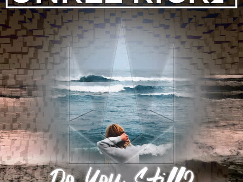 Do You Still? (Triton Au Remix) (Single)