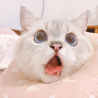 Little Things (Single)