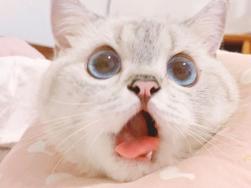 Little Things (Single)