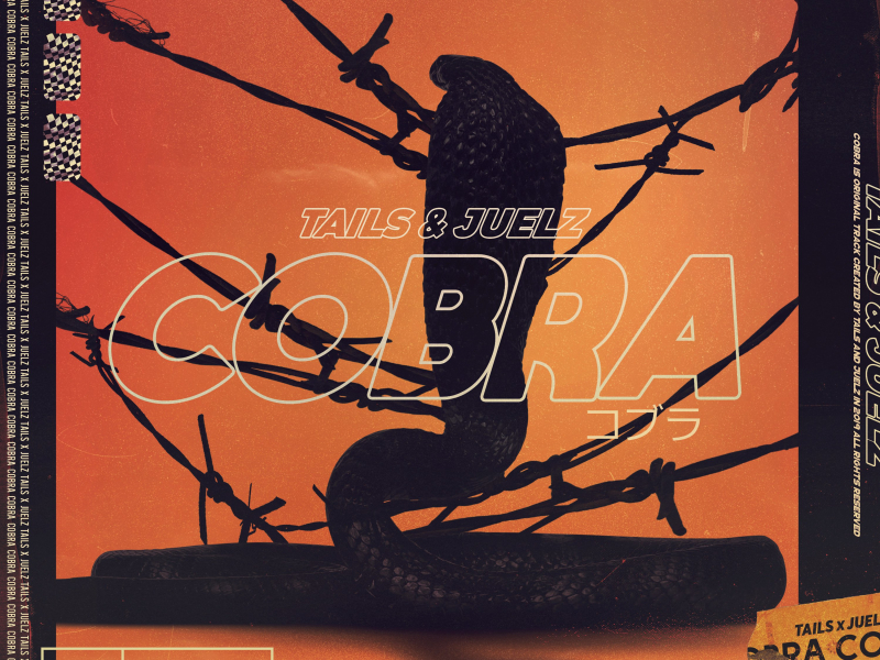 Cobra