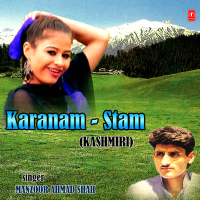 Karanam Stam