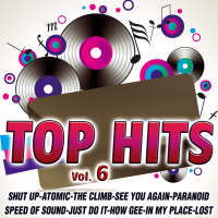 Top Hits Vol. 6