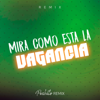 Mira Como Esta la Vagancia (Single)