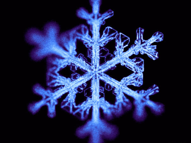 what if we both loved each other still? (Single)