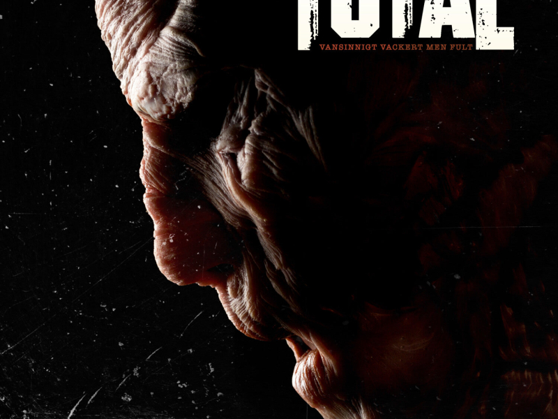 Vansinnigt vackert men fult (Single)