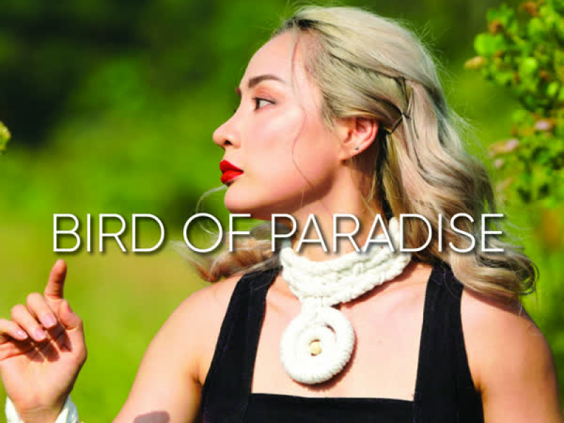 Bird of Paradise (Single)