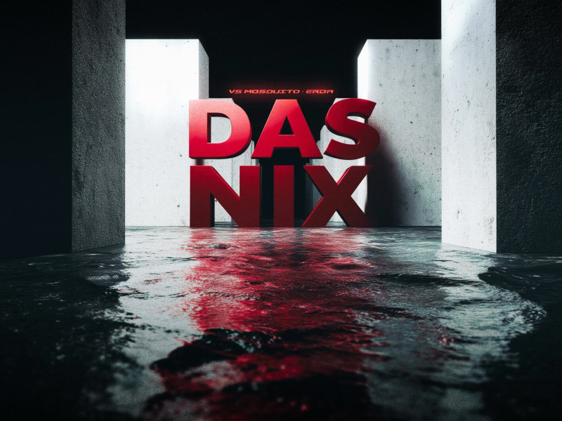 DAS NIX (Single)
