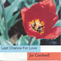 Last Chance For Love