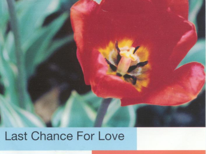 Last Chance For Love