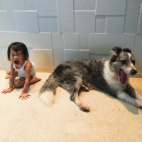 A Slow Unfolding of Wings (Single)