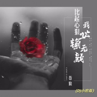 比起心狠我必输无疑 (Dj小拾版) (Single)
