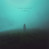 hummingbird (Single)