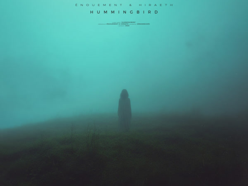 hummingbird (Single)