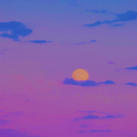 Many Seasons (Single)