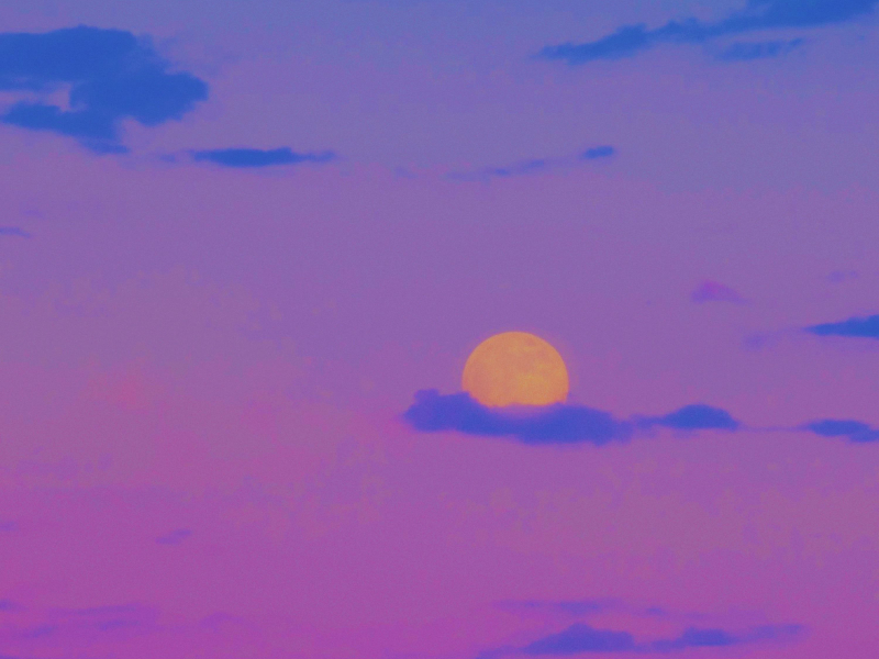 Many Seasons (Single)