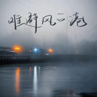难避风的港 (Single)