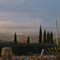 storyweaver (Single)