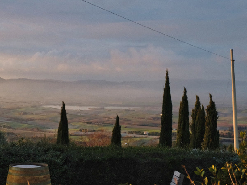 storyweaver (Single)