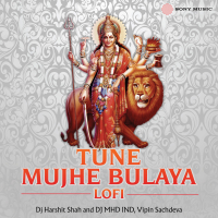 Tune Mujhe Bulaya (Lofi) (Single)
