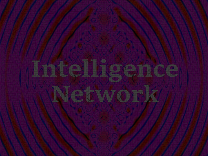 Intelligence Network (Single)