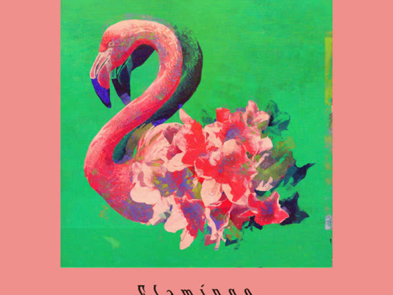 Flamingo / TEENAGE RIOT