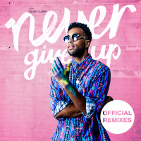 Never Give Up (Remixes) (EP)